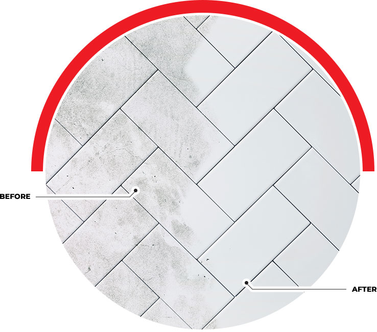 Tile & Grout Cleaning Before & After