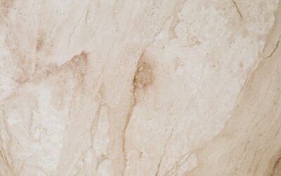 How to Choose the Right Service Provider for Your Concrete Floor Refinishing Needs
